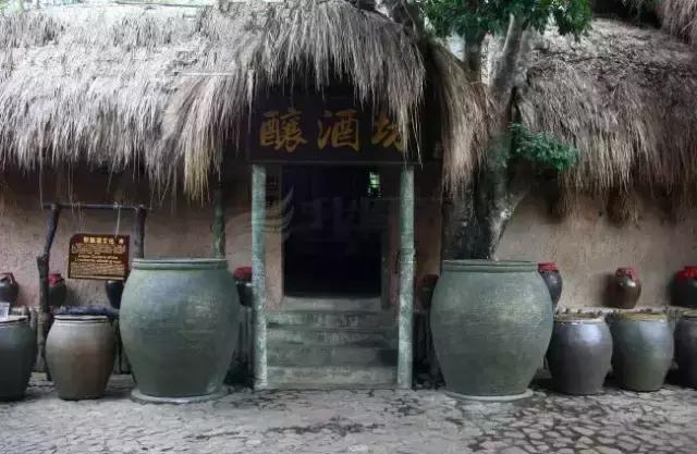 史上最奇葩的海南酒,海南奇葩饮料