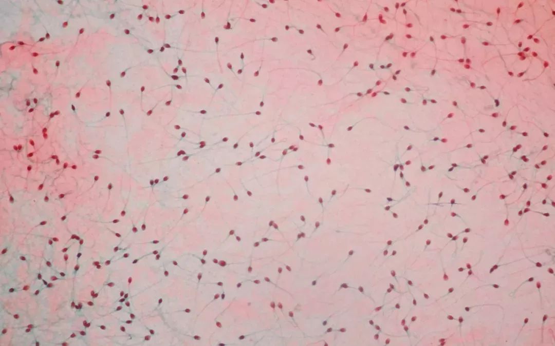 宇宙中最大数字单位你了解多少,宇宙中最大的数字计数单位