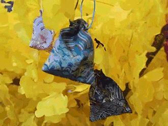 内部员工爆料！到南宁的这个地方一定要三思！因为……