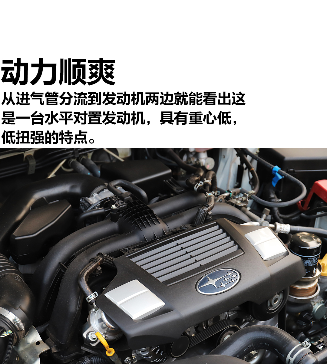 鏂反椴佸姏鐙拰涓扮敯,涓扮敯鍜屾柉宸撮瞾鍔涚嫯