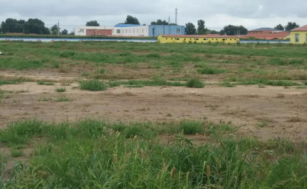 通州人顶起来！帮内蒙孩子上一堂正规的体育课！