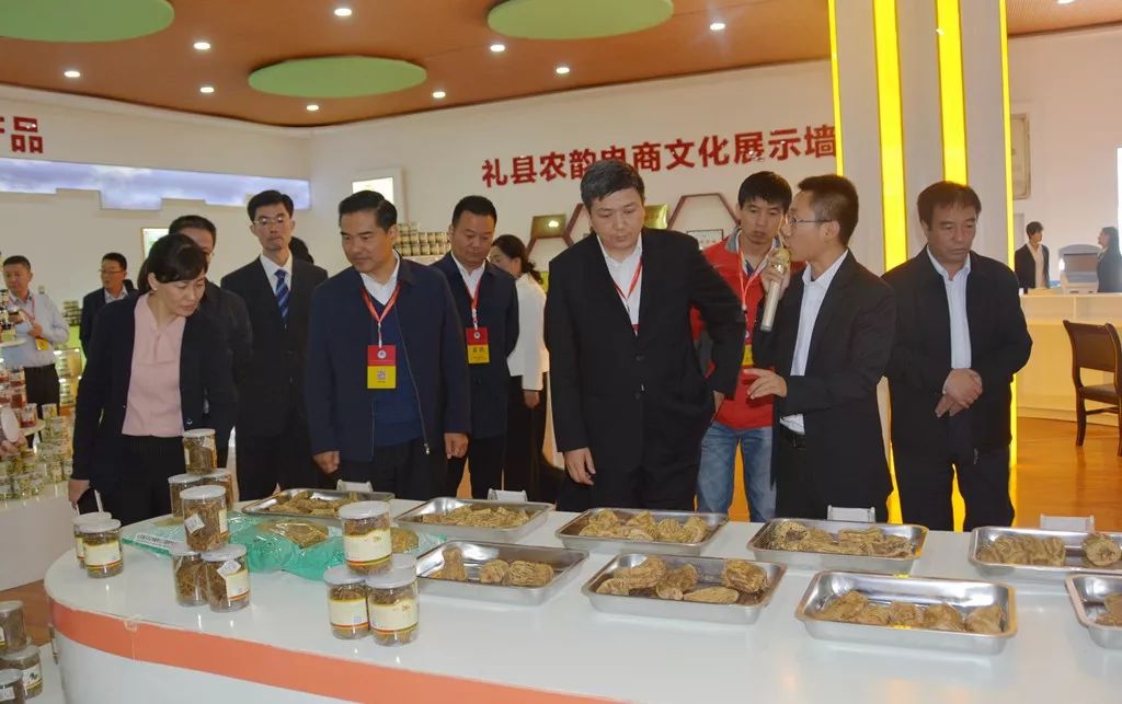 中国首届农民丰收节陕西分会场,陇南中国农民丰收节热点