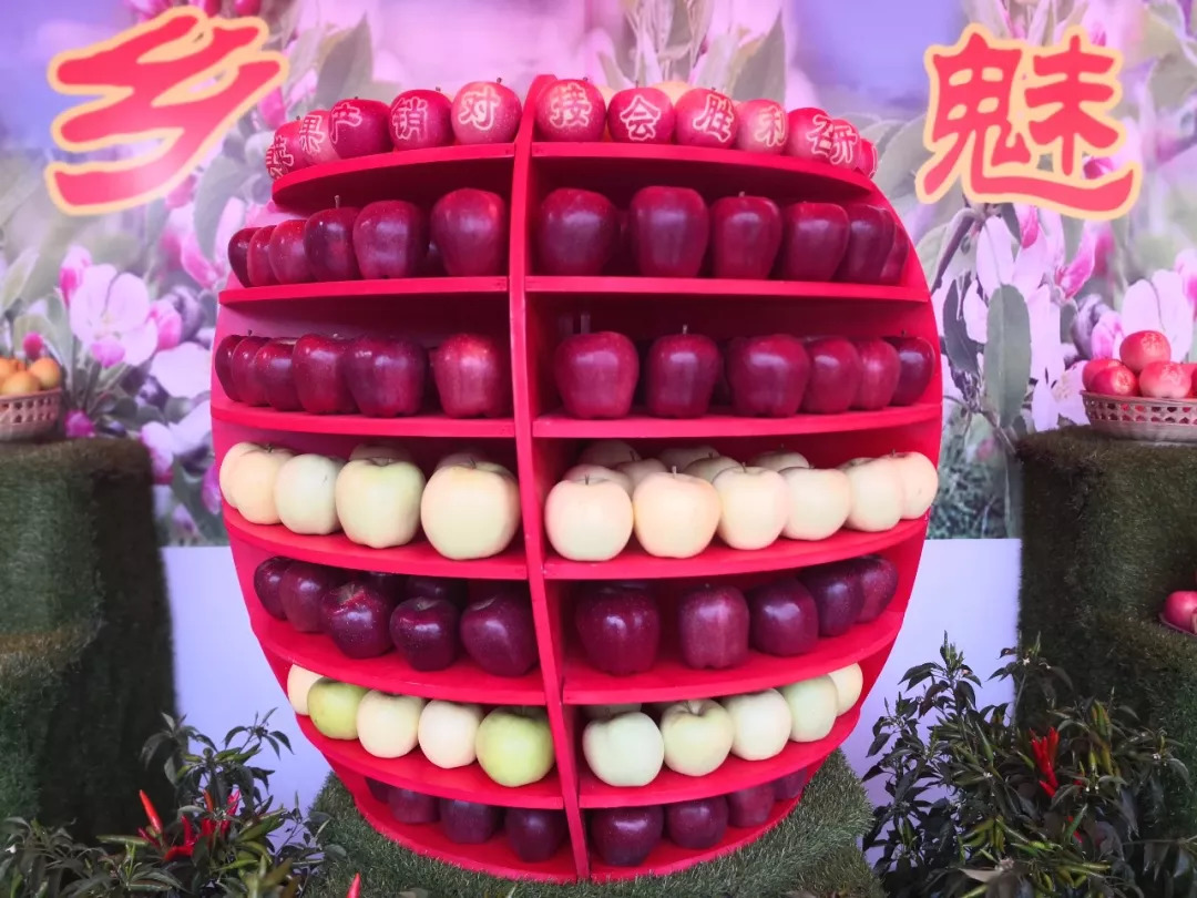 中国首届农民丰收节陕西分会场,陇南中国农民丰收节热点