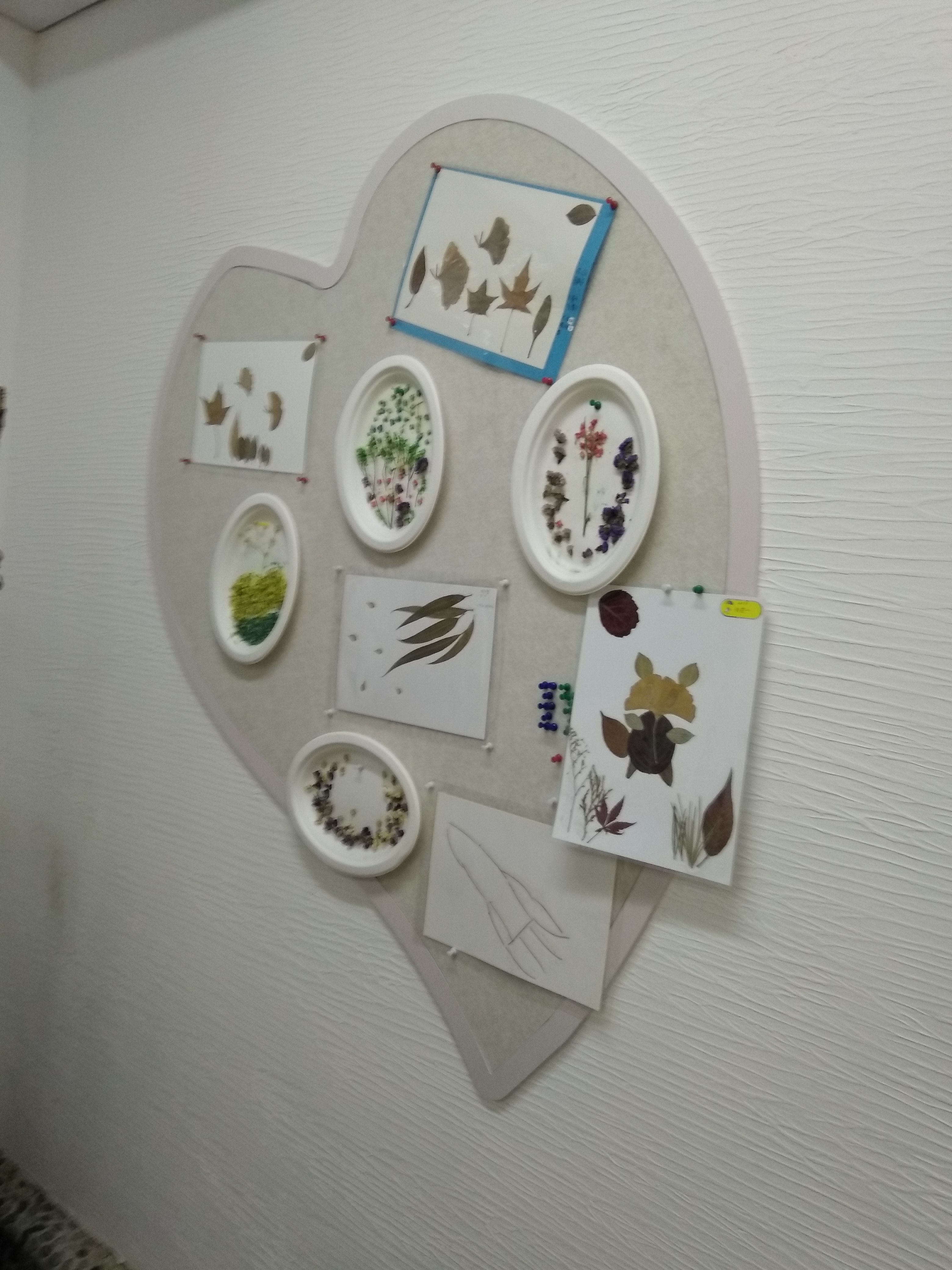 花叶LIVE｜北京史家实验学校园艺心理课