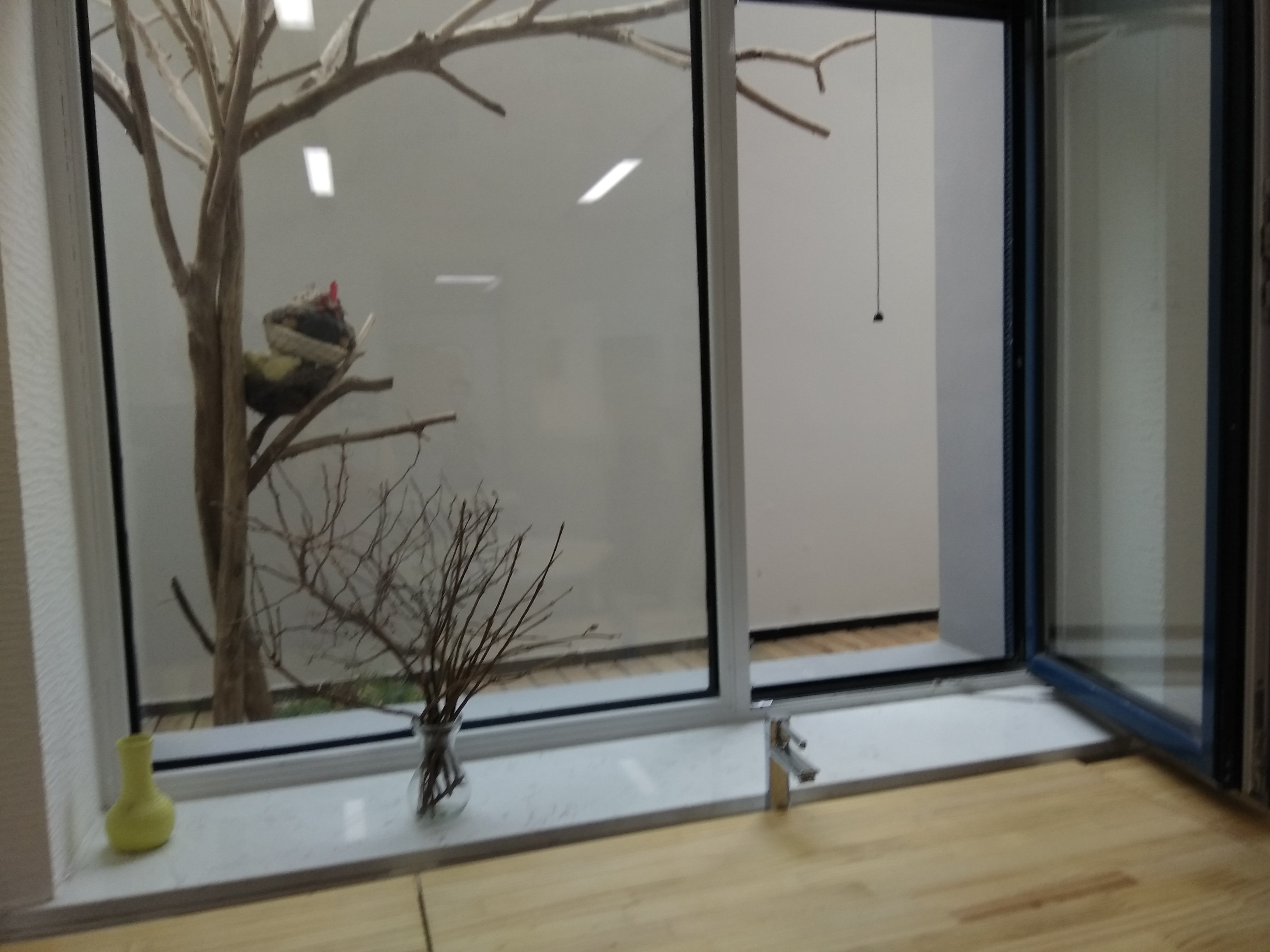 花叶LIVE｜北京史家实验学校园艺心理课