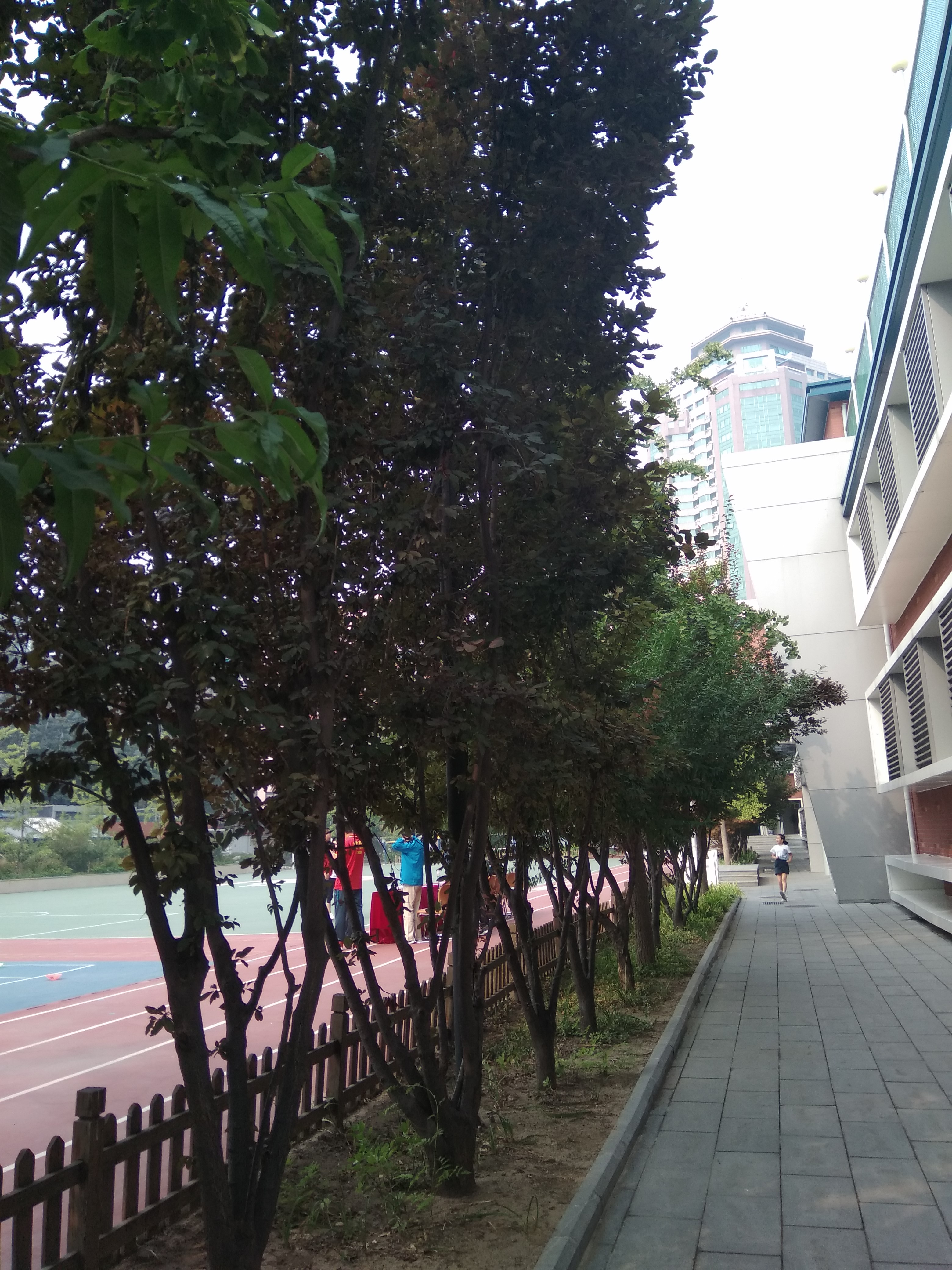 花叶LIVE｜北京史家实验学校园艺心理课