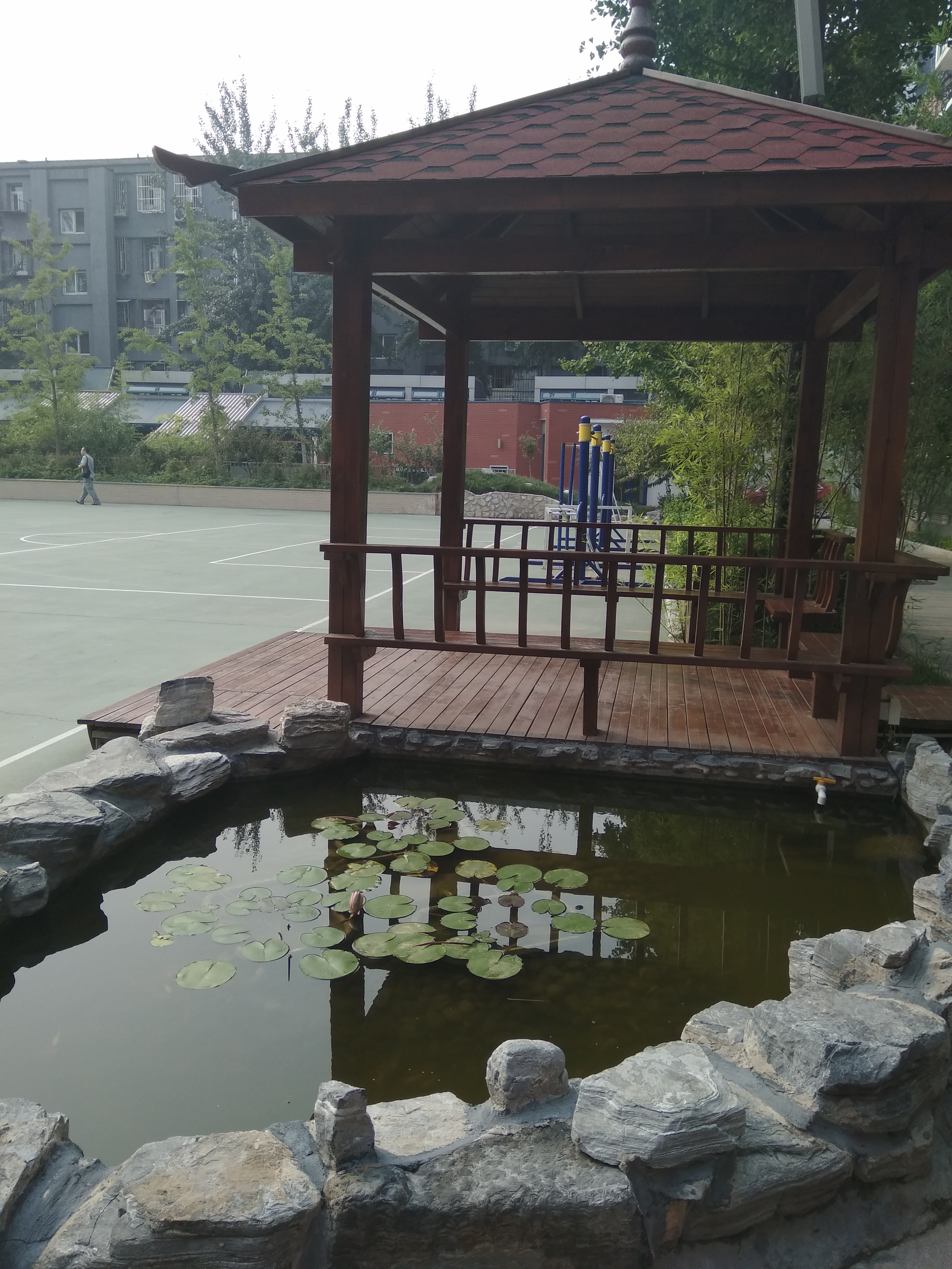 花叶LIVE｜北京史家实验学校园艺心理课