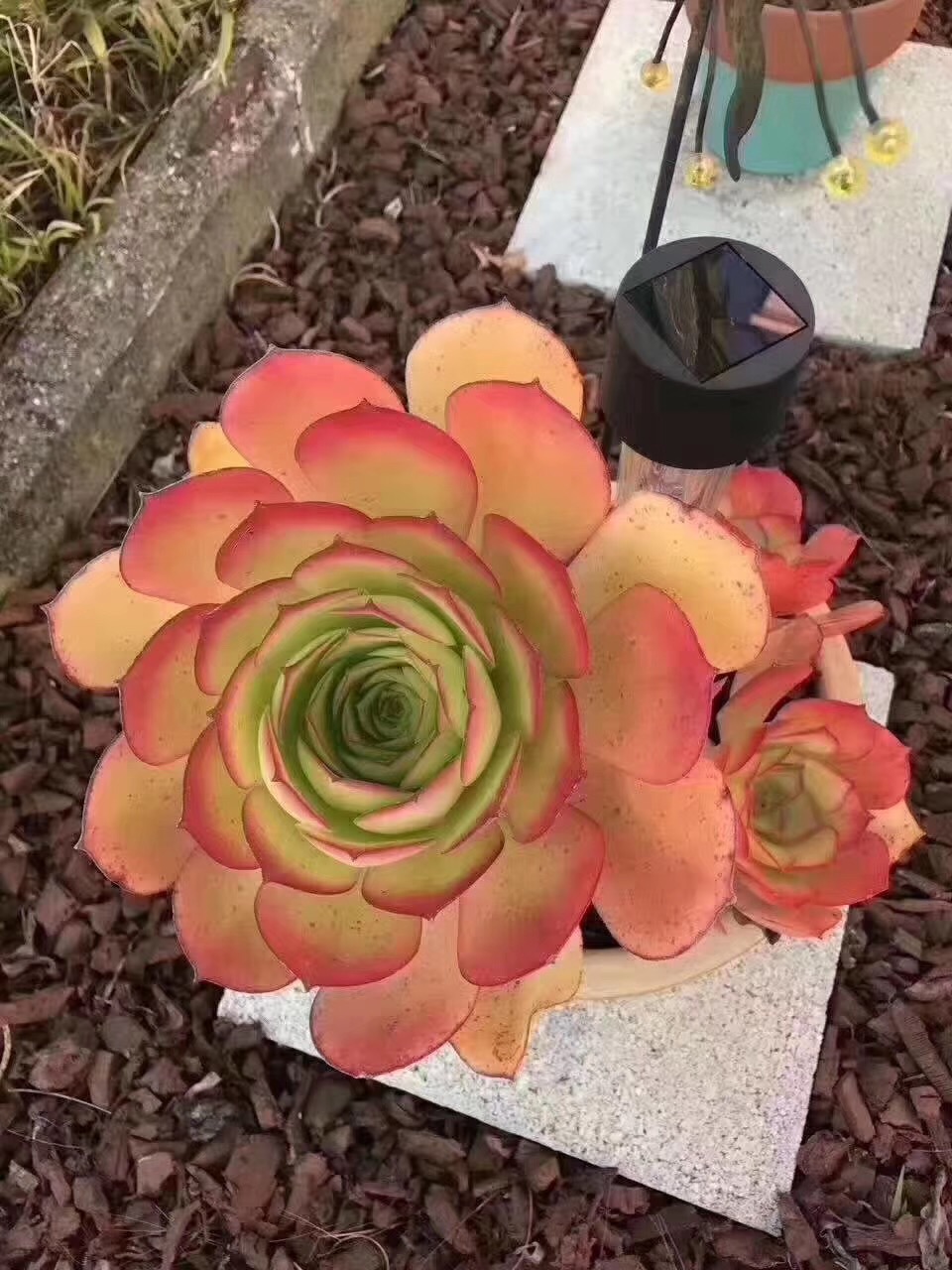 慢生活轻阅读,慢生活完整