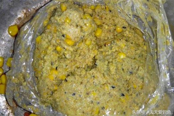 鲤鱼进窝为什么不吃饵,窝中有鱼不吃饵