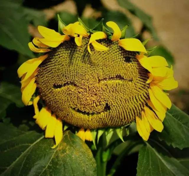 这条微信与每个人都有关,你应该看一下