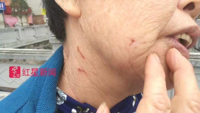 大妈高铁嚣张占座后续,高铁占座大妈后续