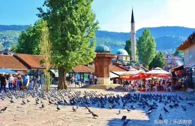 73个免签落地签国家和地区 (南京免签落地签)