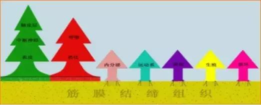 汤氏颈肩腰腿痛正骨手法,林州专业手法调理颈肩腰腿疼