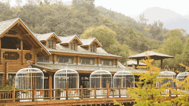 实锤！如何“优雅”的用一百元吃遍九如山！是时候接受这波安利了