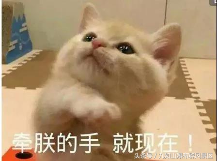 实锤！如何“优雅”的用一百元吃遍九如山！是时候接受这波安利了