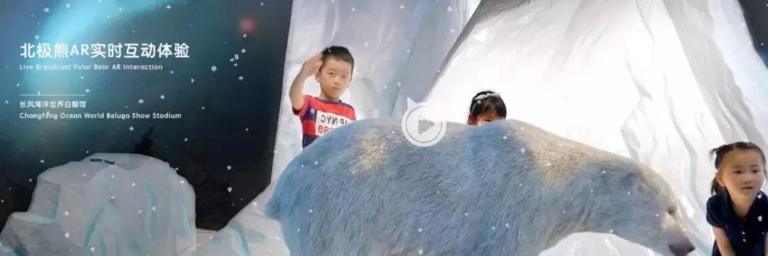 2018cae上海展,2018caac猫展冠军