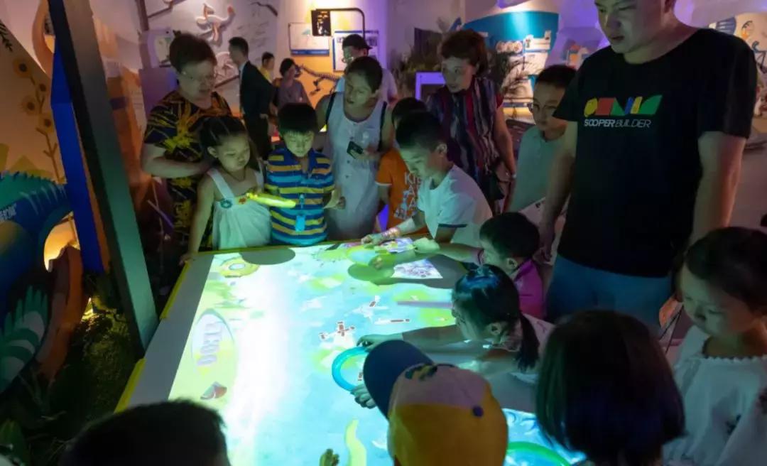 2018cae上海展,2018caac猫展冠军