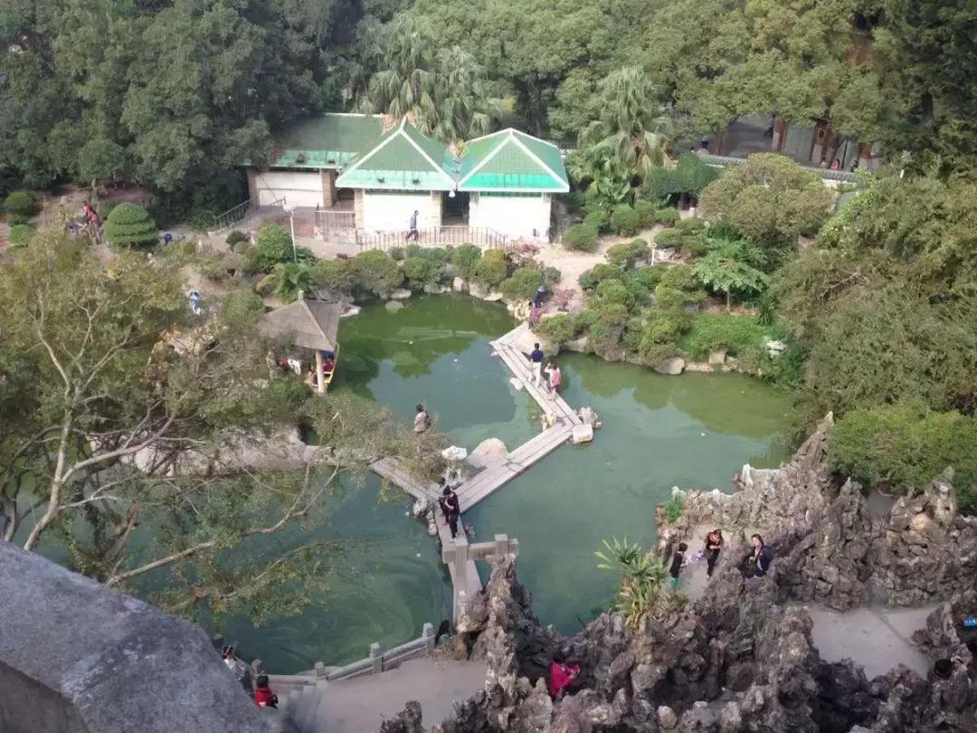 厦门鼓浪屿吃喝玩乐全攻略,鼓浪屿旅游美食全攻略