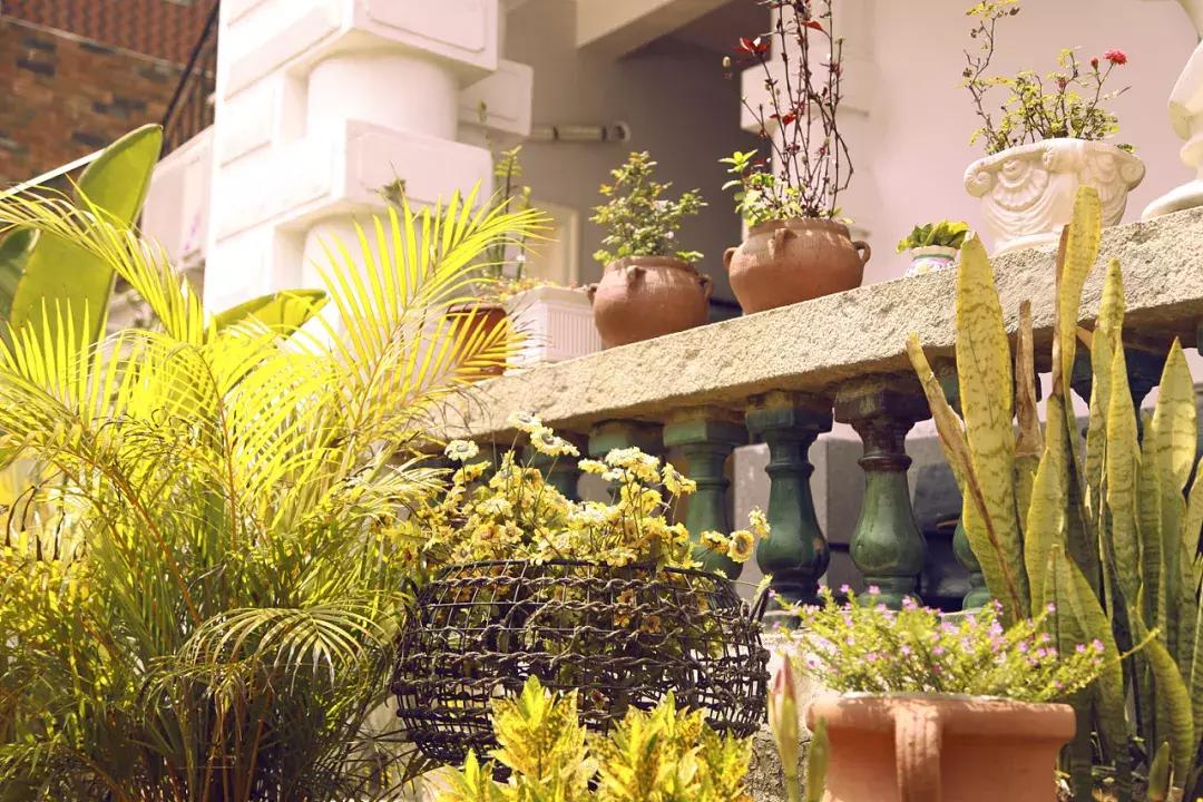 厦门鼓浪屿吃喝玩乐全攻略,鼓浪屿旅游美食全攻略