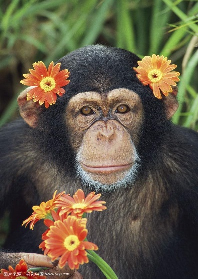 爱美之心皆有之,爱美之心人皆有之