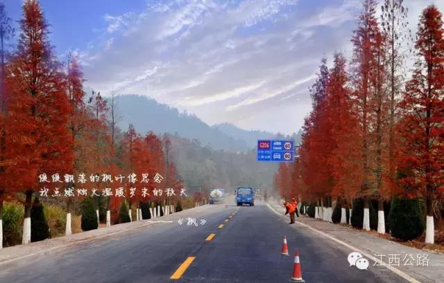 视觉｜当周杰伦的歌词遇见江西公路，会有怎样的奇妙反应？