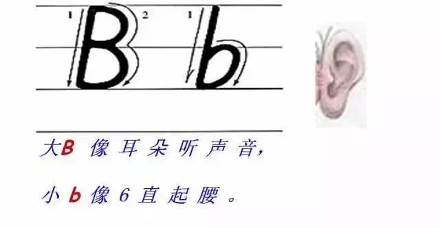26个英文字母书写规范与技巧,印刷体英文26个字母书写教程