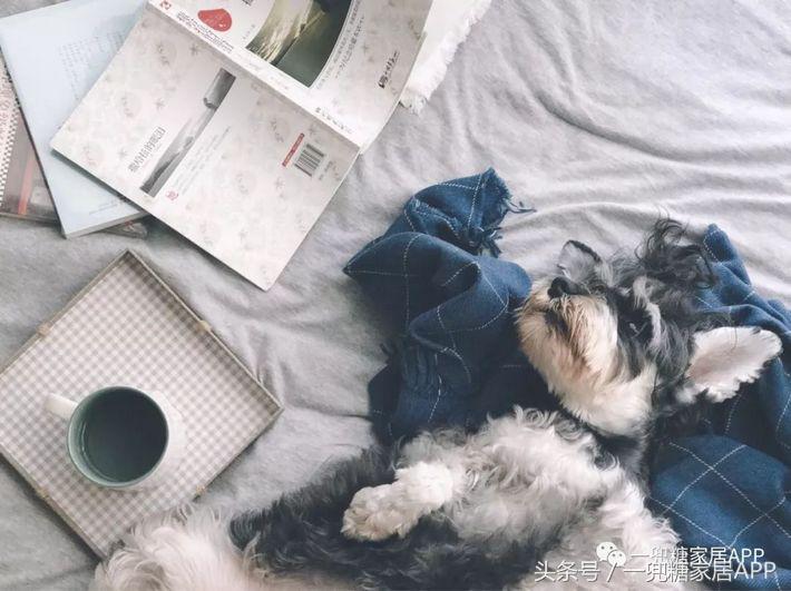 她家家具性价比超高,她家家居旗舰店