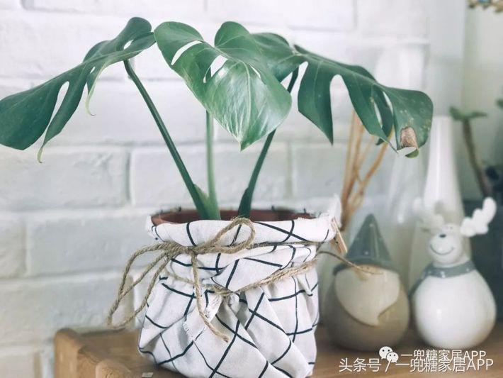 她家家具性价比超高,她家家居旗舰店