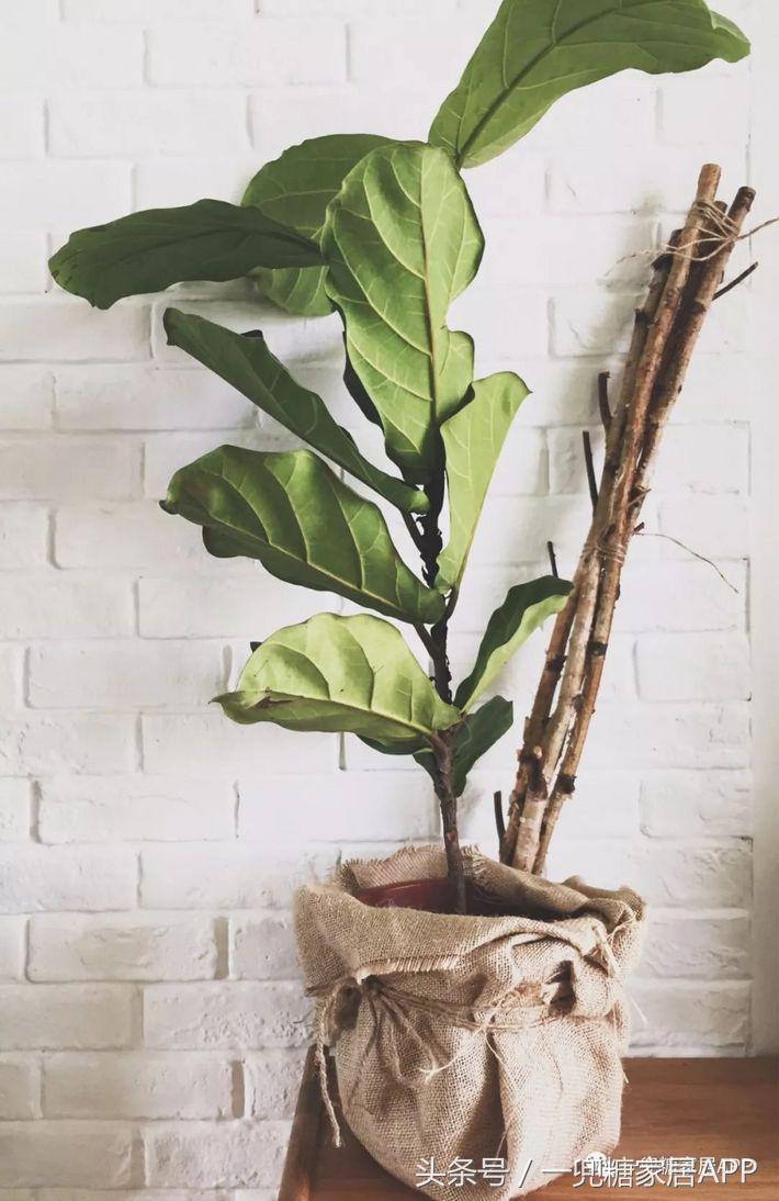 她家家具性价比超高,她家家居旗舰店