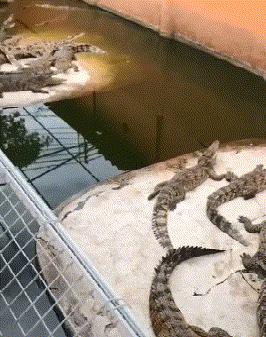 ▶昨天老妈教弟弟做作业,我弟不动脑筋思考,每道题都问...