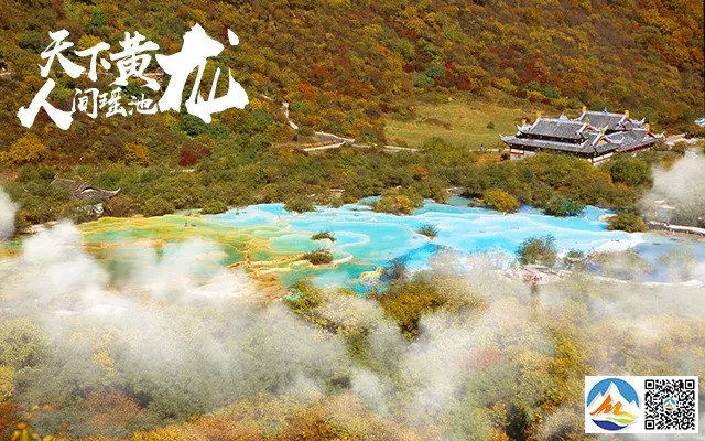 舌尖上的黄龙鱼头,舌尖上的土鸡