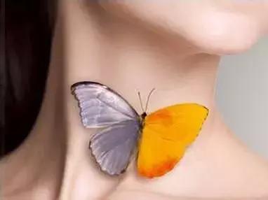 结节息肉囊肿缠身老中医教你一招,结节息肉囊肿增生的区别