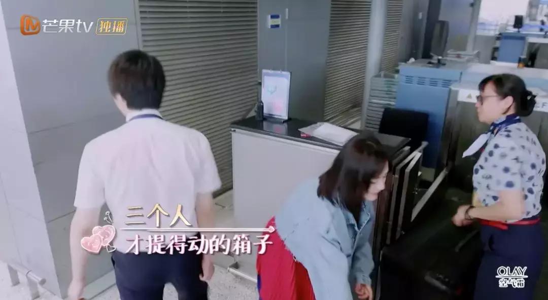 谢娜出行活动凯凯,马天宇谢娜互怼