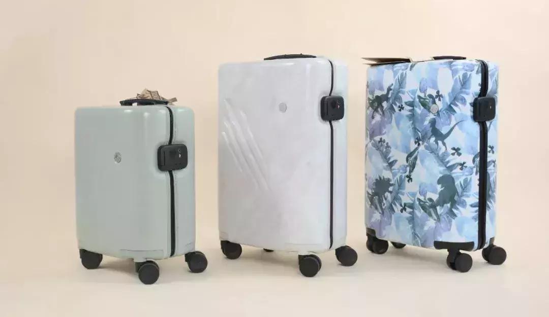 谢娜出行活动凯凯,马天宇谢娜互怼