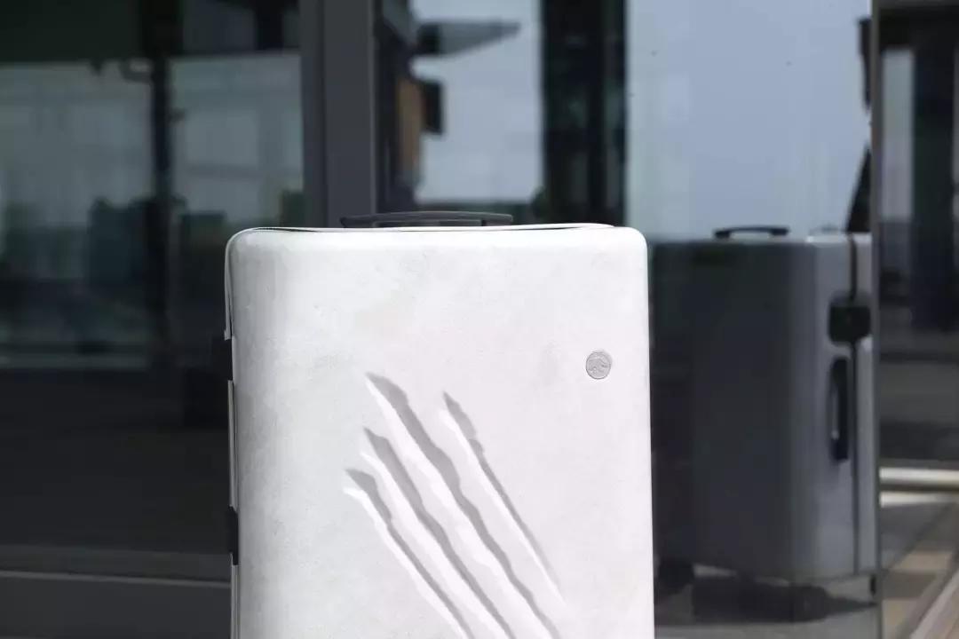 谢娜出行活动凯凯,马天宇谢娜互怼