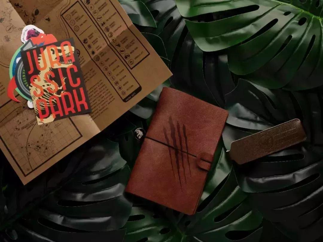 谢娜出行活动凯凯,马天宇谢娜互怼