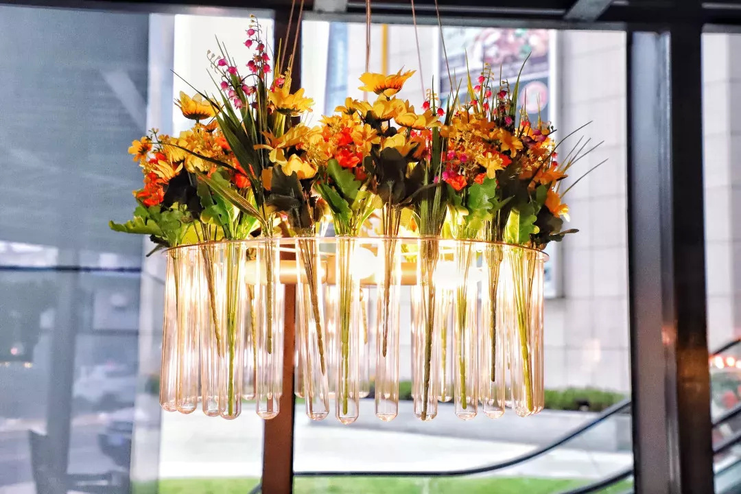 在漫猫喝咖啡，那种无忧的心情，仿佛随着维也纳音符飘到云间……