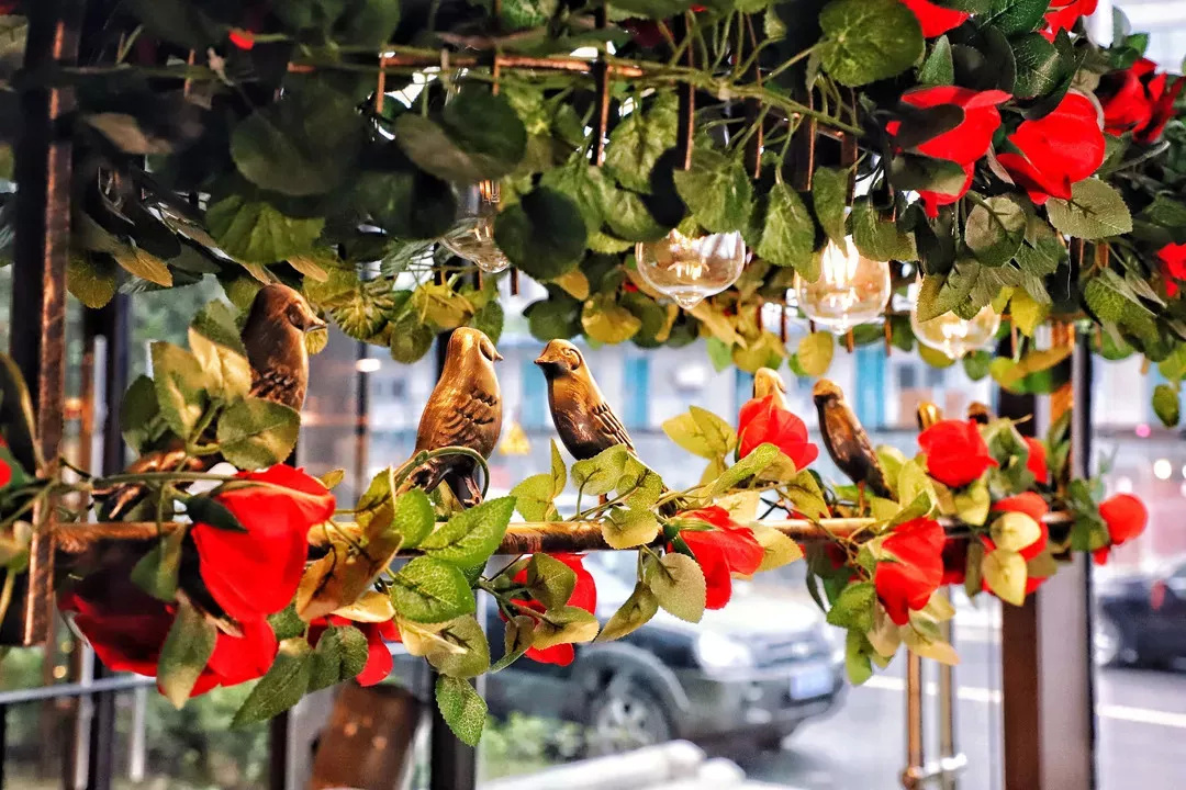 在漫猫喝咖啡，那种无忧的心情，仿佛随着维也纳音符飘到云间……