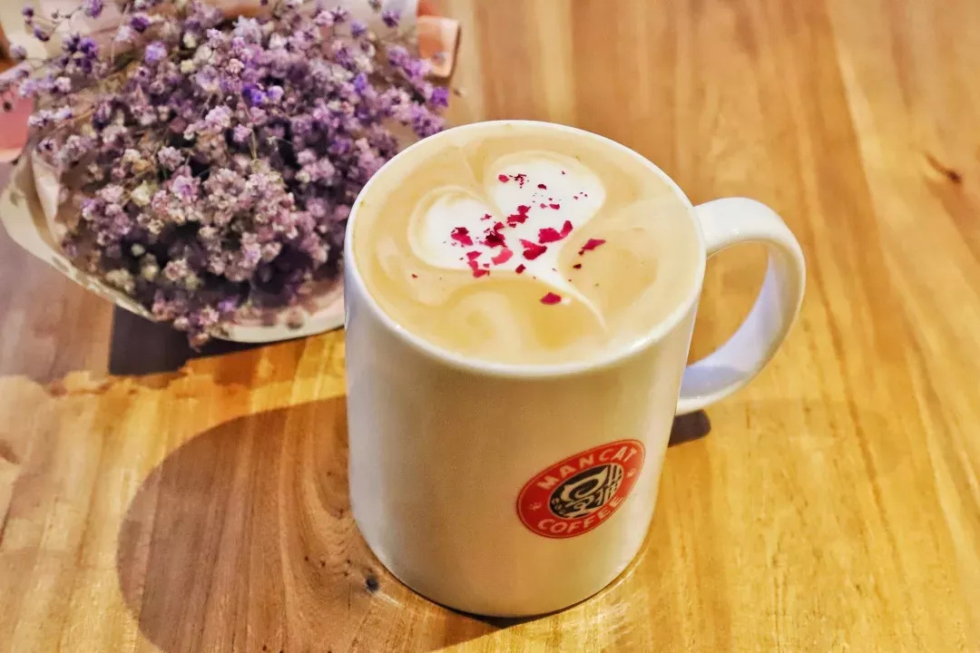 在漫猫喝咖啡，那种无忧的心情，仿佛随着维也纳音符飘到云间……