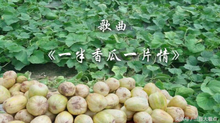 朔州民歌视频,山西朔州民歌大全