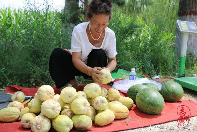 朔州民歌视频,山西朔州民歌大全