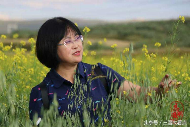 朔州民歌视频,山西朔州民歌大全