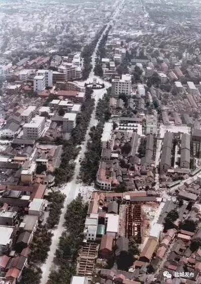 盐城大铜马近况,盐城大铜马以前的样子