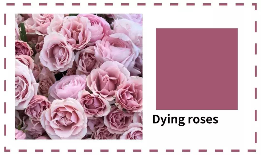 今年流行的两种口红色号,今年流行的一款口红色号