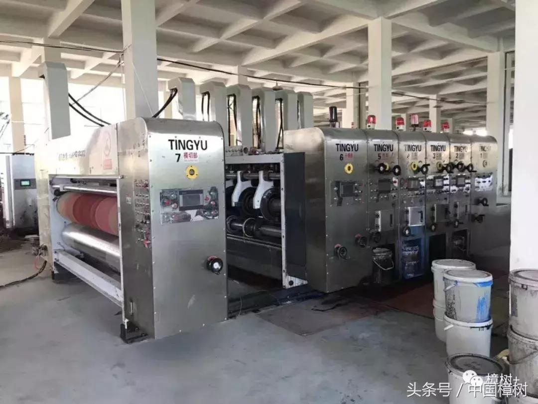 20岁老杨现状,老杨办了一家印刷厂