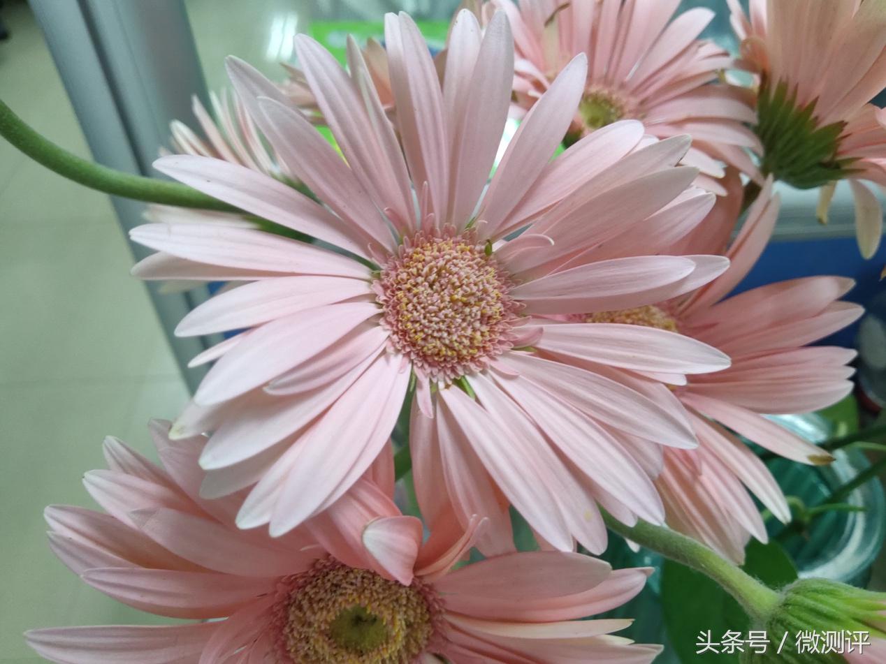 agm和df区别,agm与bgn的区别