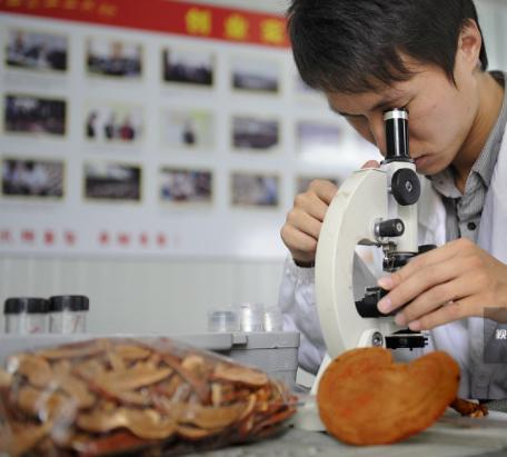 怎么鉴别灵芝孢子粉好坏,怎么判断灵芝正宗孢子粉质量