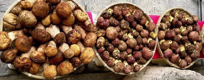 大理吃美食最新,大理美食攻略四季饭店