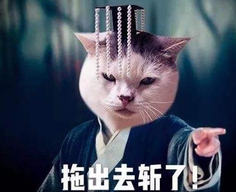 有纹身可以干保险吗,有纹身能做保险吗