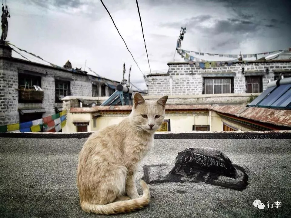 行李︱老艾：只要活着，谁不在路上